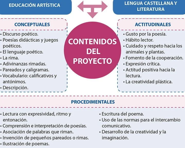 Amplifica tu Señal de Contenido con Estrategias de SEO y Marketing